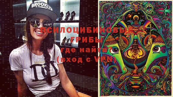 первитин Осинники