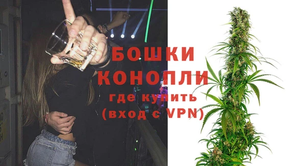гидра Алексин